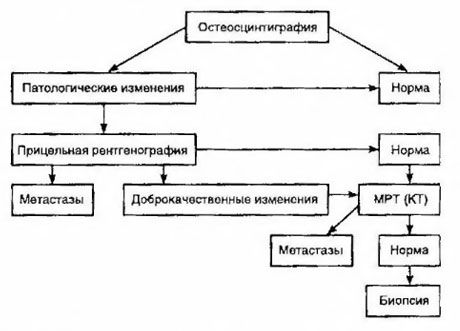 Kahtlustatav luumetastaaside taktika