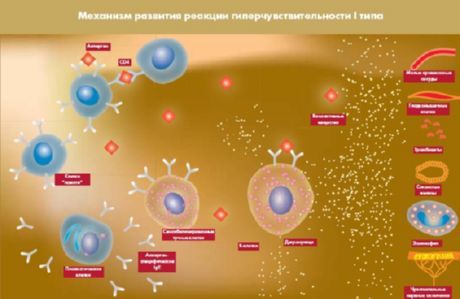 Avatud proteiin, mis on uus diabeedi sihtmärk