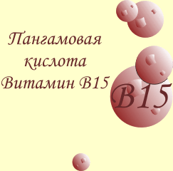 Üldteave vitamiini B15 kohta