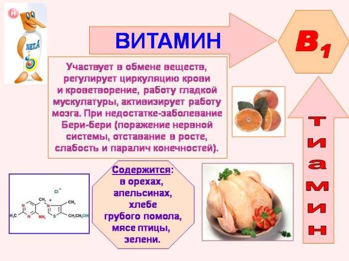Vitamiin B1 omadused